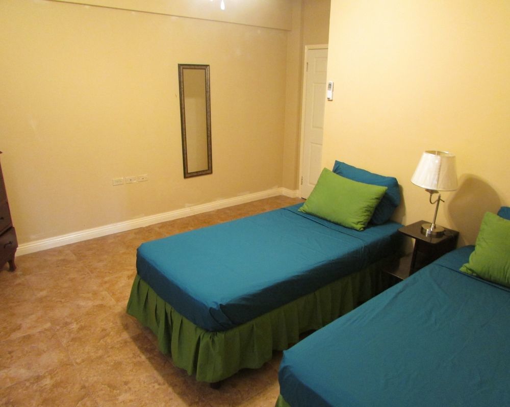 Centrally Located Guest Apartments キングストン エクステリア 写真
