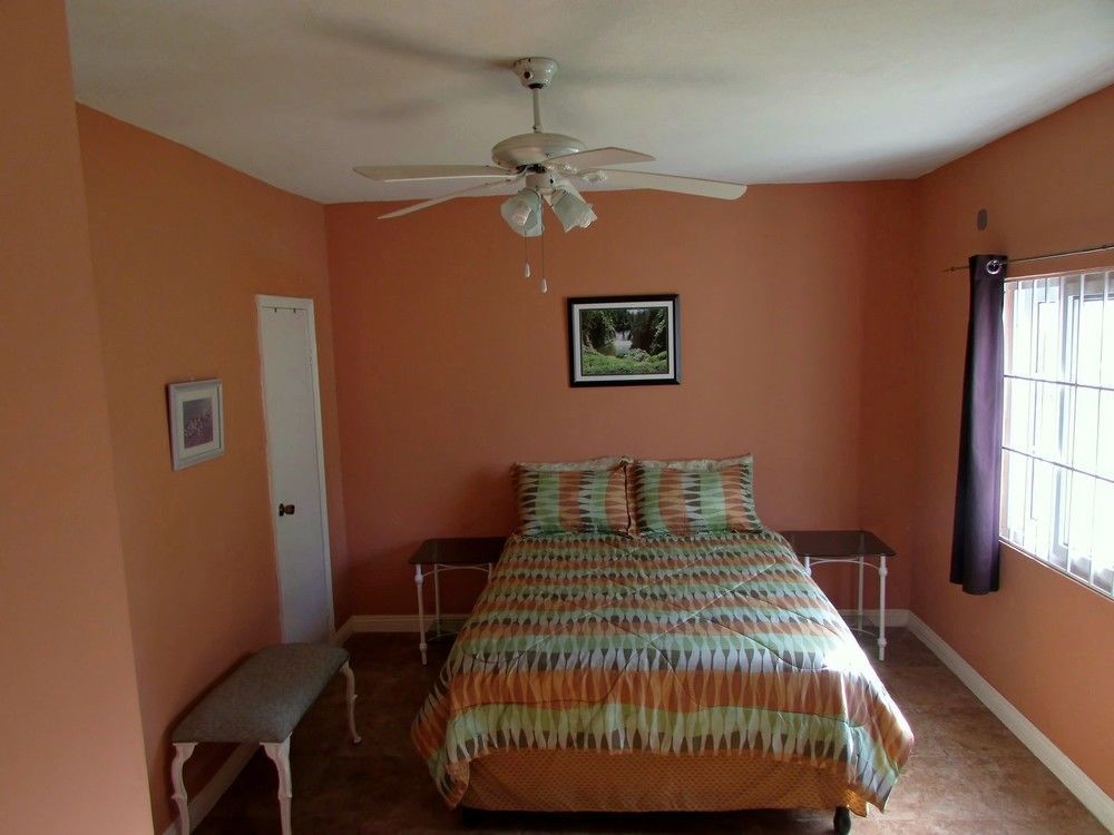 Centrally Located Guest Apartments キングストン エクステリア 写真