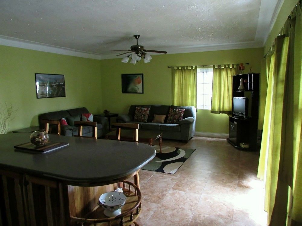 Centrally Located Guest Apartments キングストン エクステリア 写真