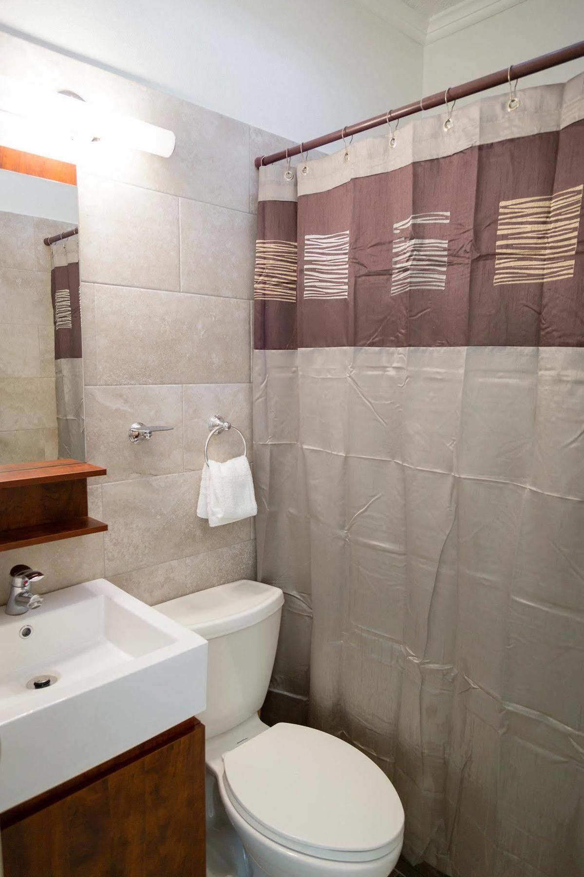 Centrally Located Guest Apartments キングストン エクステリア 写真